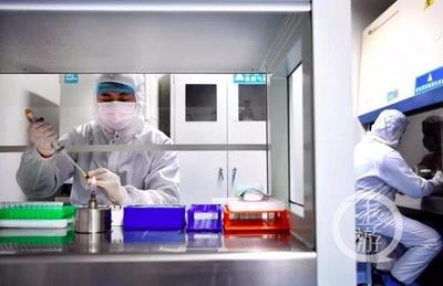 黑科技助攻戰“疫” 重慶高新區“智造”軍團以生物研發構筑科技防線