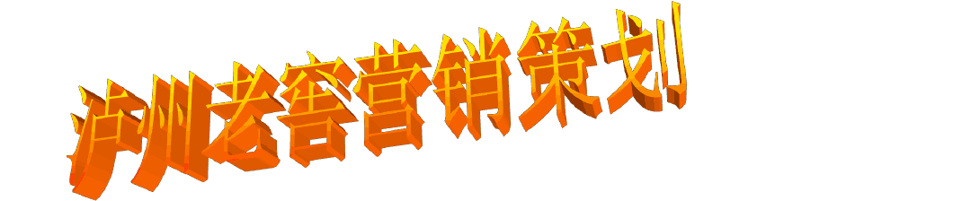 瀘州老窖市場(chǎng)營(yíng)銷策劃ppt
